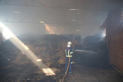 Incendio en Losacio de Alba (Zamora).- ICAL