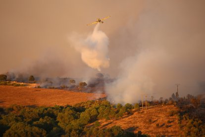 Incendio en Losacio de Alba.- ICAL