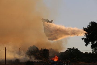 Incendio en Losacio de Alba.- ICAL