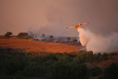 Incendio en Losacio de Alba.- ICAL