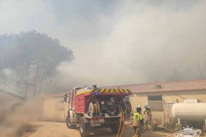 Operativo de los Bomberos del Ayuntamiento de Burgos en Santo Domingo de Silos.- ICAL