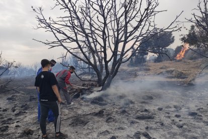 Incendio en la localidad de San Juan de la Nava (Ávila).- ICAL