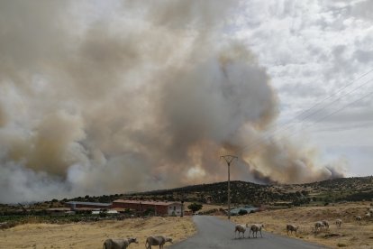 Incendio en la localidad de San Juan de la Nava (Ávila).- ICAL