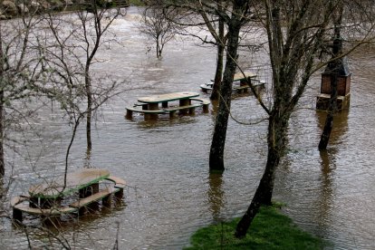 Crecida del rio Duero a su paso por Molinos.-ICAL.