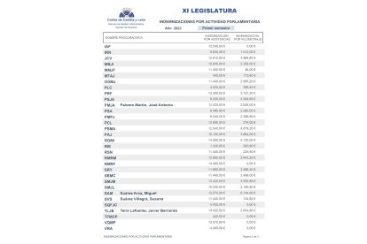 Documentos en los que VOX pone nombre y apellidos a sus procuradores y a las imdenizaciones que reciben por asistencias a plenos y comisiones y kilometraje- E. M.