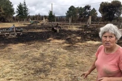 Nelly. en su nave, el año pasado, pocos días después del incendio en la Sierra de la Culebra. A. CALVO