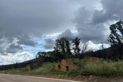 Otero de Bodas un año después del incendio en la Sierra de la Culebra. A. CALVO