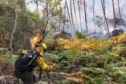 Incendio en Santa Cruz del Valle en Ávila. -ICAL