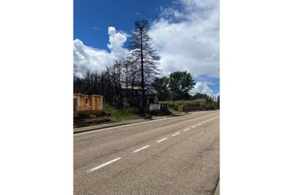 La Sierra de la Culebra un año después. A. CALVO