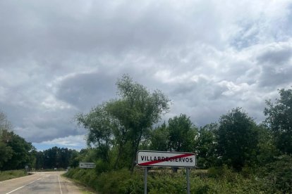 El verde se mezcla con los árboles quemados en Villardeciervos un año después del incendio de la Sierra de la Culebra. A. CALVO