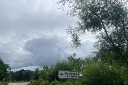 La Sierra de la Culebra un año después del incendio. A. CALVO