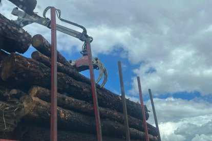 Carga de un camión con troncos quemados en la Sierra de la Culebra un año después del incendio. A. CALVO