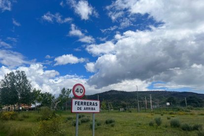 Sierra de la Culebra un año después. A. CALVO