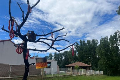Árboles calcinados utilizados como decoración en Ferreras de Arriba un año después del incendio de la Sierra de la Culebra. A. CALVO