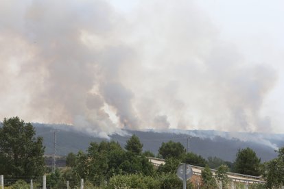 Incendio en la Sierra de la culebra en junio de 2022. ICAL