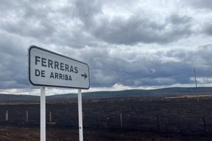 Paisaje quemado una semana después del incendio en la Sierra de la Culebra en junio de 2022. A. CALVO