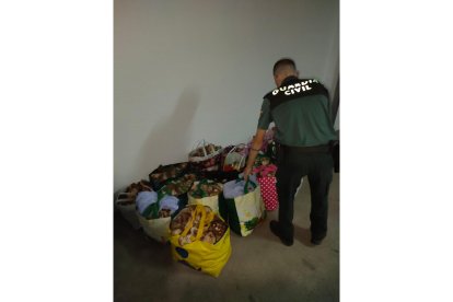 Setas incautadas por la Guardia Civil en Soria. E.M.