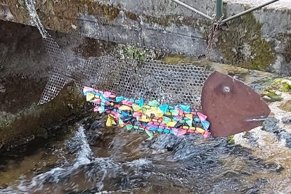 Escultura un pez en San Clemente. -ICAL