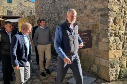 Su majestad el rey Felipe VI durante su vista a Medinaceli.- HDS