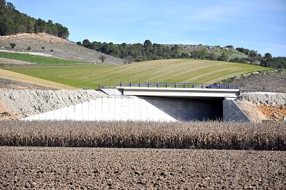 Ecoducto bajo la plataforma en Valbuena de Duero - S. G. C.