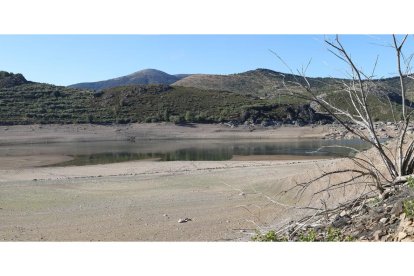 Embalses de Palencia
Aspecto del embalse de Camporredondo; en la cola, cercano a la zona de Cardaño de Abajo (Palencia).- ICAL