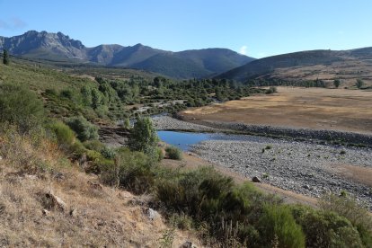 Embalses de Palencia
Aspecto del embalse de Camporredondo cercano a la zona de Cardaño de Abajo (Palencia).- ICAL