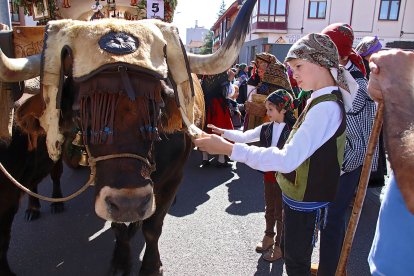 Pendones, Cantaderas y Carros Engalanados celebran las Fiestas de San Froilán en León. Ical