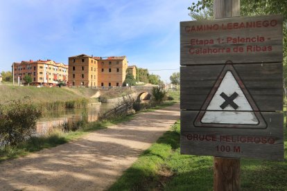 Camino Lebaniego a su paso por Palencia. -ICAL