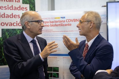 El presidente de la Diputación de Salamanca, Javier Iglesias, y el rector de la Universidad de Salamanca, Ricardo Rivero, visitan el stand de la Usal en Salamaq. -ICAL