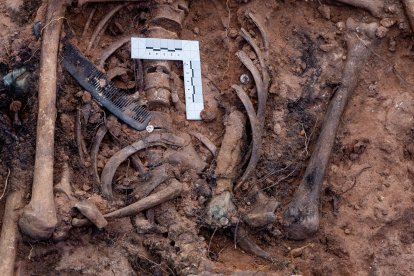 Exhumación de fusilados en el cementerio de Las Casas (Soria). -ICAL