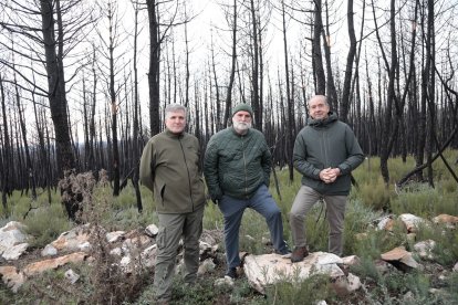 El chef José Andrés con Alfonso Jiménez, presidente de Cascajares, y Cipriano García, director general de Caja Rural Zamora, en la Sierra de la Culebra. -CASCAJARES