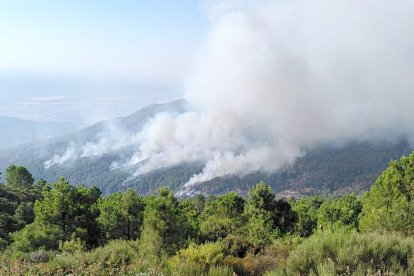 Incendio en Santa Cruz del Valle (Ávila).- ICAL