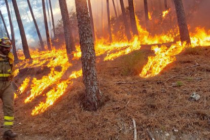 Incendio en Santa Cruz del Valle (Ávila).- ICAL