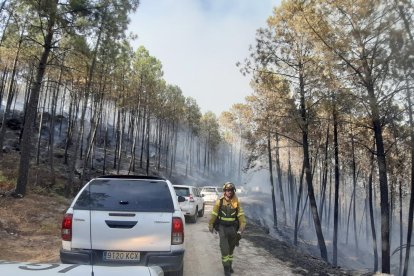 Incendio en Santa Cruz del Valle (Ávila).- ICAL
