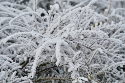 Fuerte helada en las inmediaciones del Hospital de León. -ICAL.