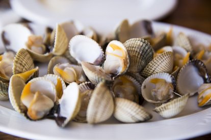 Berberechos de la Ría de Muros-Noia