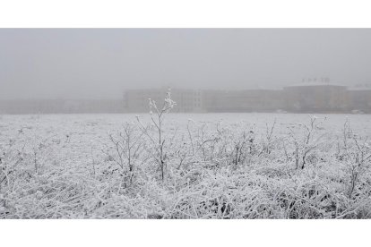 Niebla y hielo en Salamanca. -ICAL.