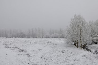 Niebla y hielo en Salamanca. -ICAL.