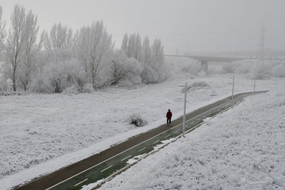 Niebla y hielo en Salamanca. -ICAL.