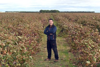 Nacho Rincón, viticultor e influencer de Moradillo de Roa (Burgos). -ICAL