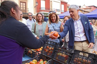 Feria del tomate de Mansilla de las Mulas, en León.- ICAL
