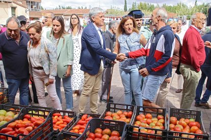 Feria del tomate de Mansilla de las Mulas, en León.- ICAL