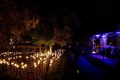 El alcalde de Salamanca, Carlos García Carbayo, inaugura el encendido de la iluminación navideña.-ICAL