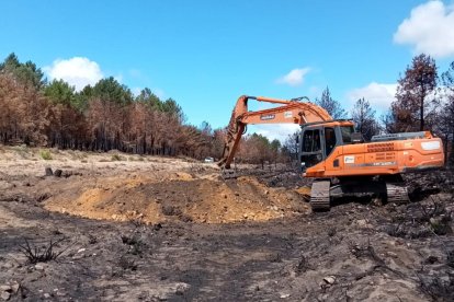 Actuaciones incendio sierra La Culebra 4 cabecera arroyo Riofrío