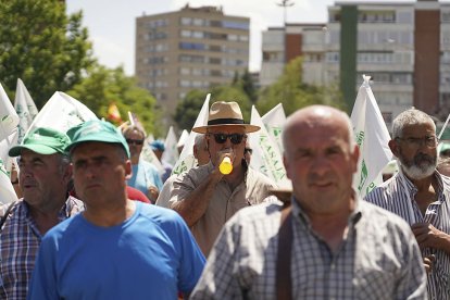Manifestación de agricultores y ganaderos convocada por Asaja, UPA-Coag y UCCL para reclamar ayudas por la sequía. ICAL