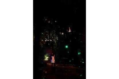 El alcalde de Salamanca, Carlos García Carbayo, inaugura el encendido de la iluminación navideña.-ICAL