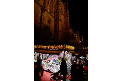 El alcalde de Salamanca, Carlos García Carbayo, inaugura el encendido de la iluminación navideña.-ICAL