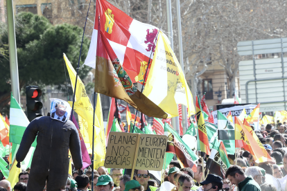 Manifestación de agricultores y ganaderos por el paseo de la Castellana en Madrid. Juan Lázaro / ICAL.