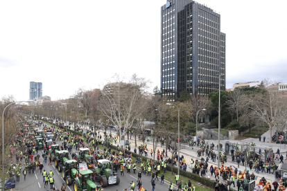 Manifestación de agricultores y ganaderos por el paseo de la Castellana en Madrid. Juan Lázaro / ICAL.