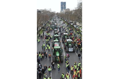 Manifestación de agricultores y ganaderos por el paseo de la Castellana en Madrid. Juan Lázaro / ICAL.